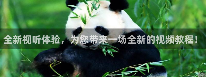 糖心viong：全新视听体验，为您带来一场全新的视频教程！